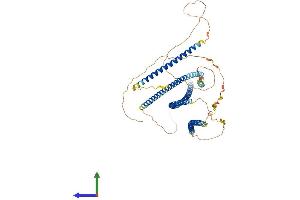 AlphaFold protein structure predicition of Human Recombinant TNIP1 Protein, UniprotID Q15025 (TNIP1 Protein (AA 1-636) (His tag))