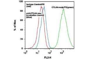 CTLA4 monoclonal antibody, clone ANC152. (CTLA4 antibody)