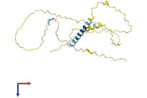 AlphaFold protein structure predicition of Mouse Recombinant Liat1 Protein, UniprotID Q810M6 (LIAT1/C17orf97 Protein (AA 1-228) (His tag))