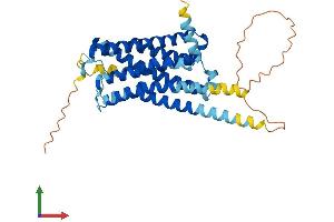 Protein Structure (PS) image for Serotonin Receptor 1E (HTR1E) (AA 1-365) protein (His tag) (ABIN7551744)