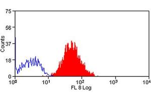 Image no. 1 for anti-Basigin (Ok Blood Group) (BSG) antibody (APC) (ABIN576874) (CD147 antibody  (APC))