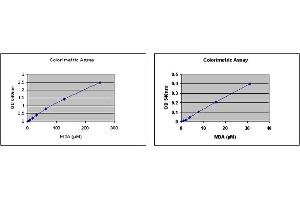 OxiSelect™ TBARS Assay Kit Standard Curve with Colorimetric Detection.