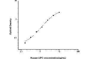 Typical standard curve (LIPC ELISA Kit)