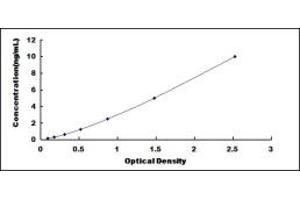 Typical standard curve (TTF1 ELISA Kit)