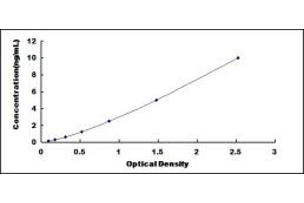 TTF1 ELISA Kit