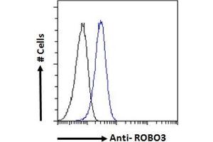 ABIN5539585 Flow cytometric analysis of paraformaldehyde fixed U2OS cells (blue line), permeabilized with 0. (ROBO3 antibody  (Internal Region))