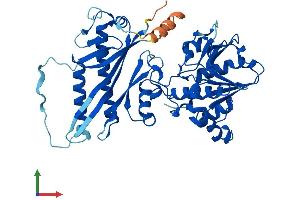 Protein Structure (PS) image for Chromosome 4 Open Reading Frame 20 (C4orf20) (AA 1-469) protein (His tag) (ABIN7544968)
