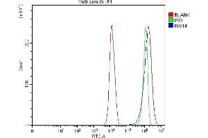 Flow Cytometry analysis of PC-3 cells using anti-RAI14 antibody (ABIN7601980). (RAI14 antibody  (AA 53-680))