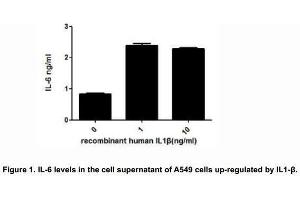 IL-1β (Interleukin-1 beta) is a proinflammatory and immunoregulatory cytokine involved in a variety of cellular activities. (IL-1 beta Protein (AA 117-269) (His tag))