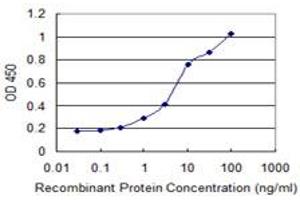 Detection limit for recombinant GST tagged CDR2 is 0. (CDR2 antibody  (AA 1-454))