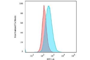 Flow Cytometry (FACS) image for anti-Major Histocompatibility Complex, Class II, DP beta 1 (HLA-DPB1) antibody (ABIN6939626)