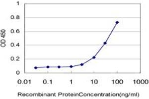 Detection limit for recombinant GST tagged IDI1 is approximately 1ng/ml as a capture antibody. (IDI1 antibody  (AA 175-283))