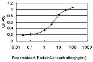 Detection limit for recombinant GST tagged MPG is approximately 0. (MPG antibody  (AA 1-90))