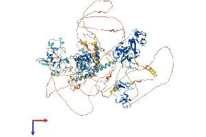 AlphaFold protein structure predicition of Human Recombinant NSD3 Protein, UniprotID Q9BZ95 (WHSC1L1 Protein (AA 1-1437) (His tag))