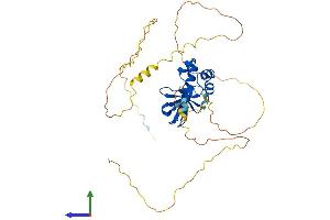 Protein Structure (PS) image for SAM and SH3 Domain Containing 3 (SASH3) (AA 1-380) protein (His tag) (ABIN7551664)