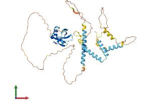 AlphaFold protein structure predicition of Mouse Recombinant Herpud2 Protein, UniprotID Q9JJC9