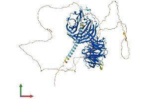 Protein Structure (PS) image for Echinoderm Microtubule Associated Protein Like 4 (EML4) (AA 1-981) protein (His tag) (ABIN7553812)
