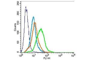 H9C2 cells probed with Rabbit Anti-ADAM12 Polyclonal Antibody, Unconjugated  at 3ug for 30 minutes followed by incubation with a conjugated secondary -FITC) (green) for 30 minutes compared to control cells (blue), secondary only (light blue) and isotype control (orange). (ADAM12 antibody  (AA 201-300))