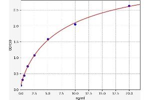 Typical standard curve (LOXL4 ELISA Kit)