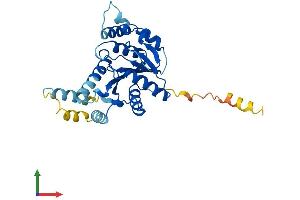 AlphaFold protein structure predicition of Mouse Recombinant Gpn3 Protein, UniprotID Q9D3W4 (GPN3 Protein (AA 1-284) (His tag))