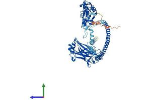 Protein Structure (PS) image for TNF Receptor-Associated Factor 3 (TRAF3) (AA 1-568) protein (His tag) (ABIN7555851)