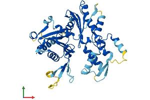 AlphaFold protein structure predicition of Human Recombinant ACTL8 Protein, UniprotID Q9H568 (Actin-Like 8 Protein (ACTL8) (AA 1-366) (His tag))