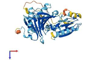 CAPG Protein (AA 1-352) (His tag)