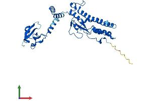 Protein Structure (PS) image for DNA Fragmentation Factor, 40kDa, beta Polypeptide (Caspase-Activated DNase) (DFFB) (AA 1-338) protein (His tag) (ABIN7547055)