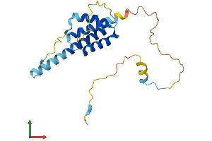 AlphaFold protein structure predicition of Human Recombinant RD3L Protein, UniprotID P0DJH9 (RD3L Protein (AA 1-198) (His tag))