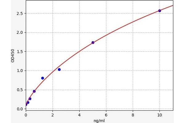 DDR2 ELISA Kit