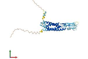 AlphaFold protein structure predicition of Human Recombinant SYPL2 Protein, UniprotID Q5VXT5