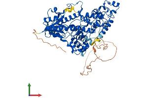 AlphaFold protein structure predicition of Mouse Recombinant Cry2 Protein, UniprotID Q9R194 (CRY2 Protein (AA 1-592) (His tag))