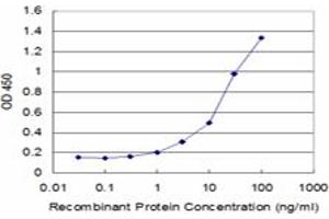 Detection limit for recombinant GST tagged LAIR1 is approximately 1ng/ml as a capture antibody. (LAIR1 antibody  (AA 188-287))