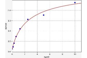 CXCR1 ELISA Kit