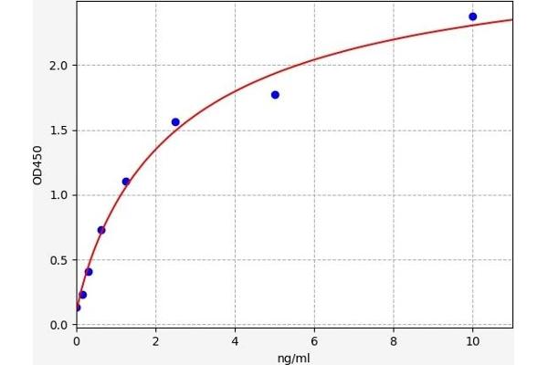 CXCR1 ELISA Kit