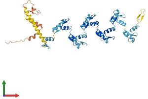 Protein Structure (PS) image for Zinc Finger Protein 117 (ZNF117) (AA 1-483) protein (His tag) (ABIN7545445)