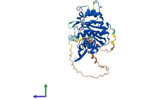AlphaFold protein structure predicition of Human Recombinant LFNG Protein, UniprotID Q8NES3