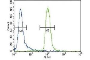 MUSK antibody flow cytometric analysis of CEM cells (right histogram) compared to a negative control cell (left histogram). (MUSK antibody  (AA 829-859))