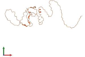 AlphaFold protein structure predicition of Human Recombinant C9orf163 Protein, UniprotID Q8N9P6