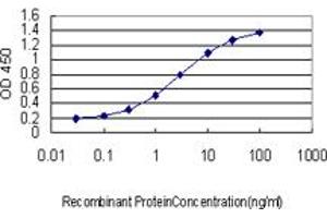 Detection limit for recombinant GST tagged DKFZp434B1231 is approximately 0. (IGFN1 antibody  (AA 720-818))