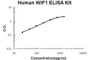 Human WIF1 PicoKine ELISA Kit standard curve (WIF1 ELISA Kit)