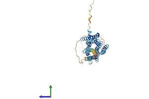 AlphaFold protein structure predicition of Human Recombinant HRH4 Protein, UniprotID Q9H3N8 (HRH4 Protein (AA 1-390) (His tag))