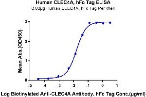 C-Type Lectin Domain Family 4, Member A (CLEC4A) (AA 70-237) protein (Fc Tag)