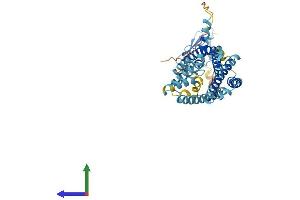 AlphaFold protein structure predicition of Mouse Recombinant Crhr2 Protein, UniprotID Q60748 (CRHR2 Protein (AA 1-411) (His tag))