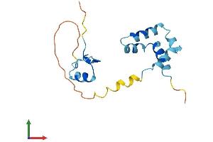 AlphaFold protein structure predicition of Human Recombinant ZNHIT3 Protein, UniprotID Q15649 (ZNHIT3 Protein (AA 1-155) (His tag))