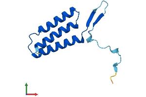 AlphaFold protein structure predicition of Mouse Recombinant Lyrm7 Protein, UniprotID Q9DA03