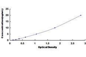 ELISA image for Calcium Channel, Voltage-Dependent, T Type, alpha 1H Subunit (CACNA1H) ELISA Kit (ABIN428238) (CACNA1H ELISA Kit)