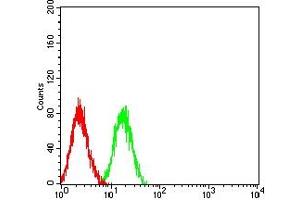 Flow cytometric analysis of HL-60 cells using LRP1B mouse mAb (green) and negative control (red). (LRP1B antibody  (AA 25-161))