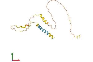 AlphaFold protein structure predicition of Human Recombinant C2orf83 Protein, UniprotID Q53S99 (C2ORF83 Protein (AA 1-150) (His tag))