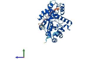Protein Structure (PS) image for YdjC Homolog (YdjC) (AA 1-323) protein (His tag) (ABIN7545213)